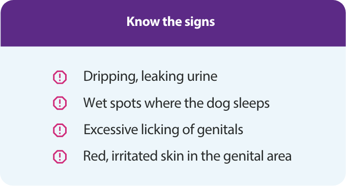 Know the Signs